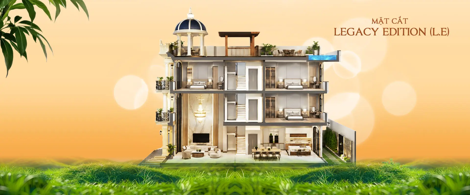 mặt cắt legacy edition LE