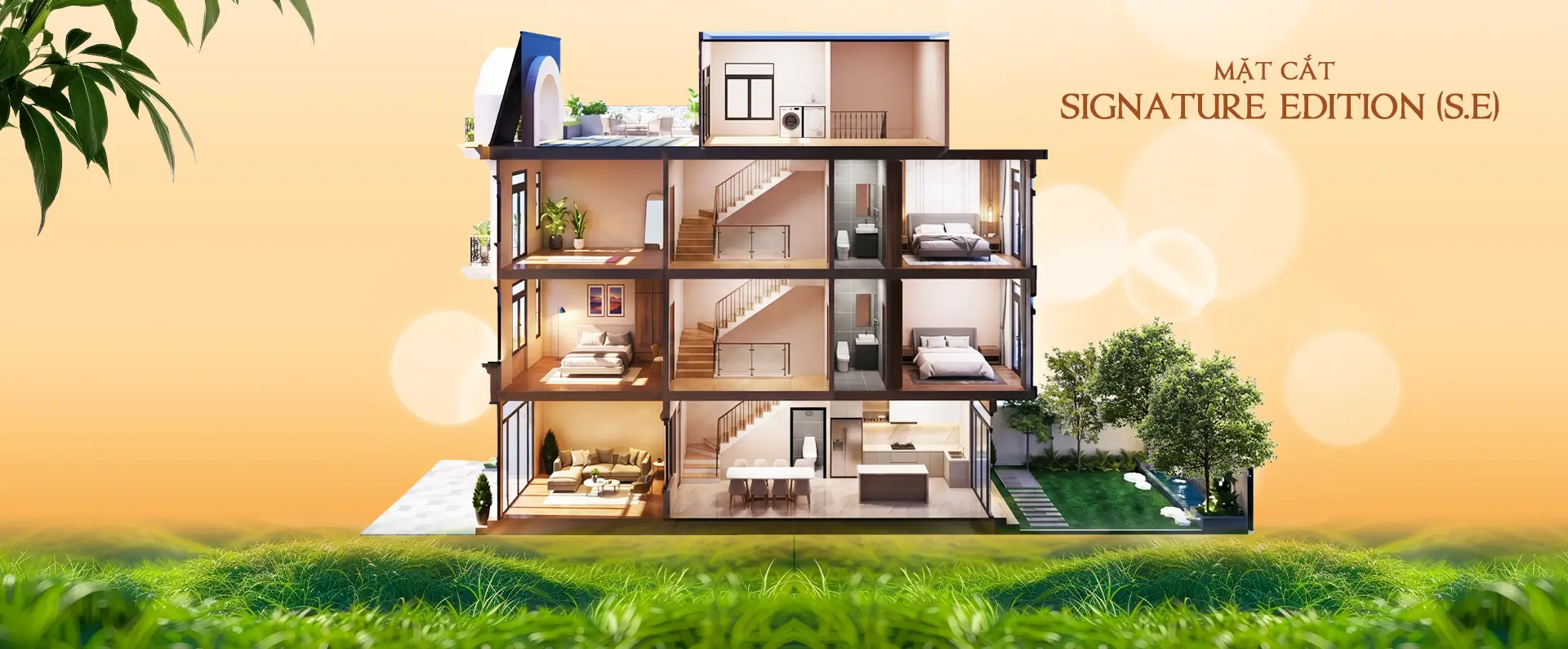 mặt cắt signature edition SE