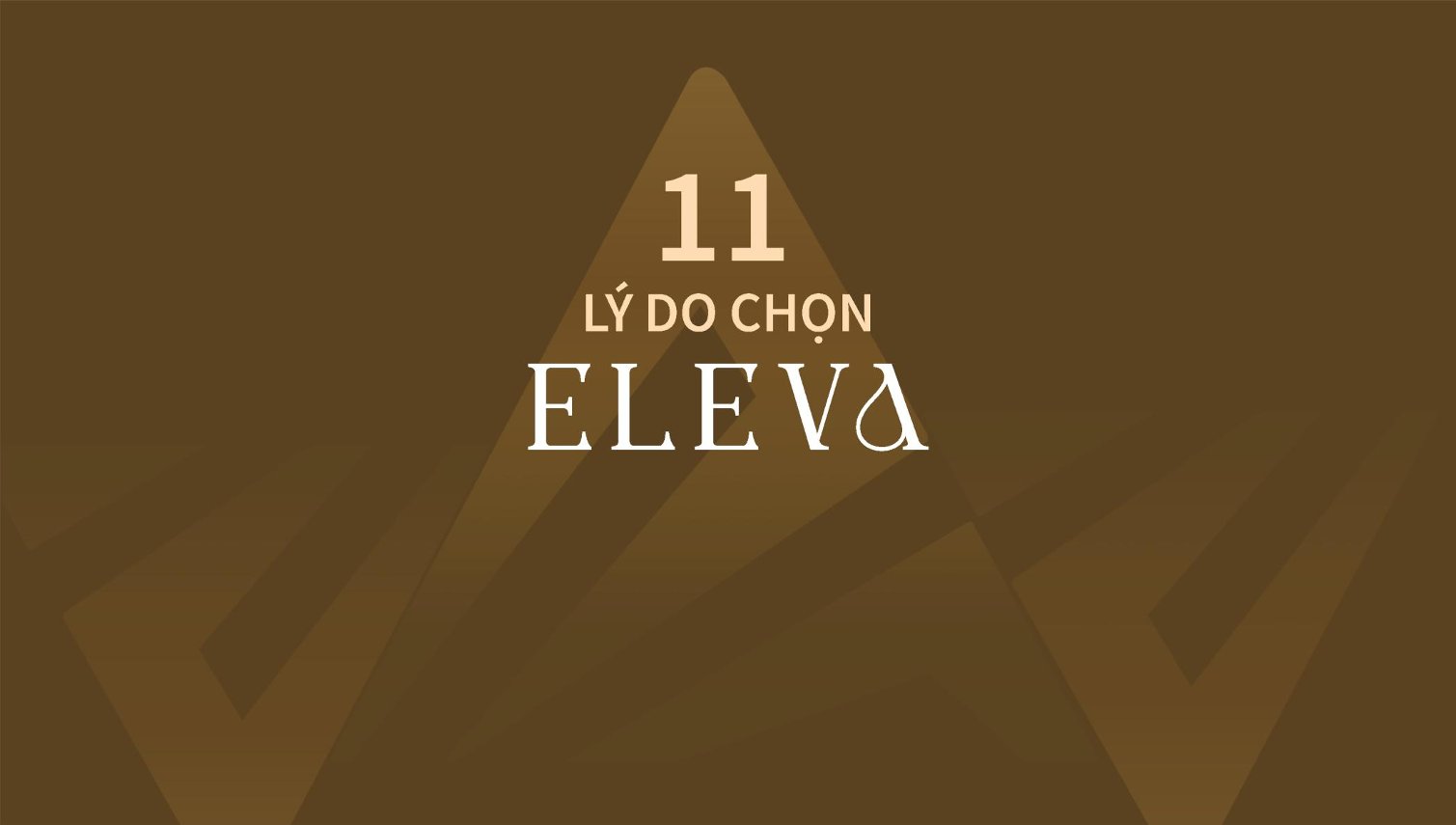 can-ho-eleva